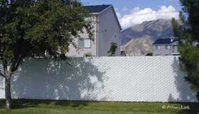 Privacy Link - Chain Link Fence