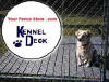 Dog Kennel Decking - Kennel Flooring