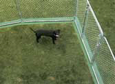 Dog Kennel Weed Barrier for Grass