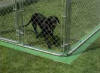 Grass stopper for Dog Kennel