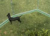 Dog Kennel Grass Stopper