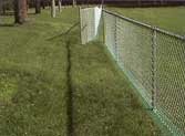 Mowstrip used with Chainlink Fence