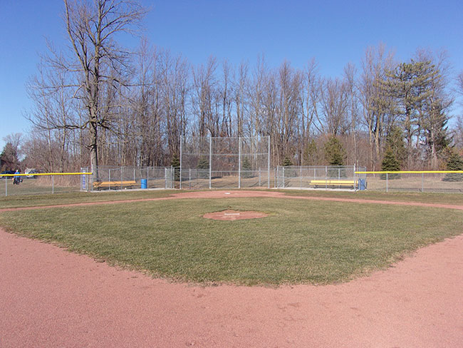 Fence Crown Baseball Field