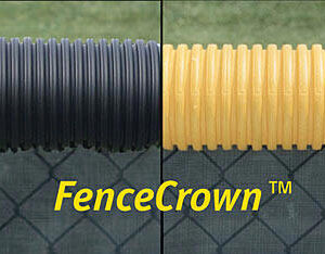 Black and bright Yellow Fence Crown.