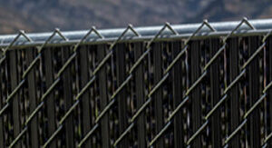 Top of Fence