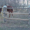 Pre-Formed River Rock Faux Pillars - Image 5